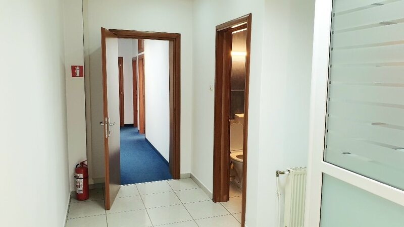 Ion Mihalache, Ciuperca, Expozitiei, spatiu birouri,